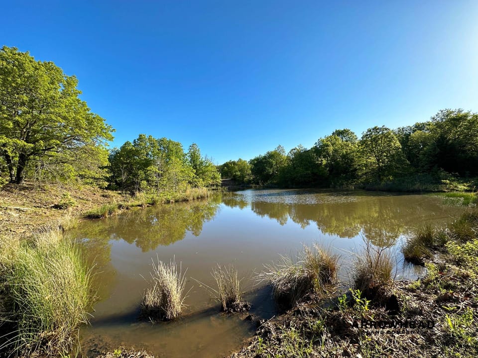 Prairie Fire Ranch