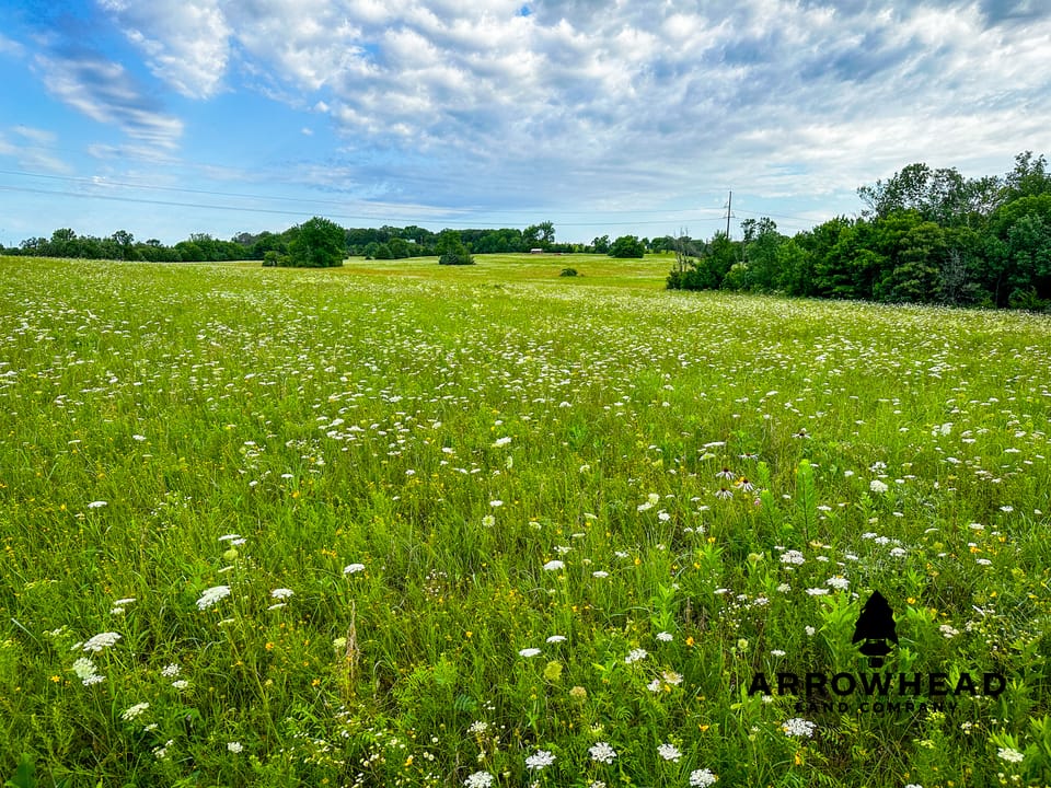 Tract 2 Country Acres Homesite