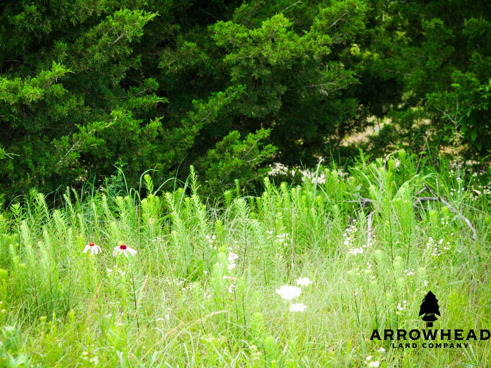 Tract 2 Country Acres Homesite