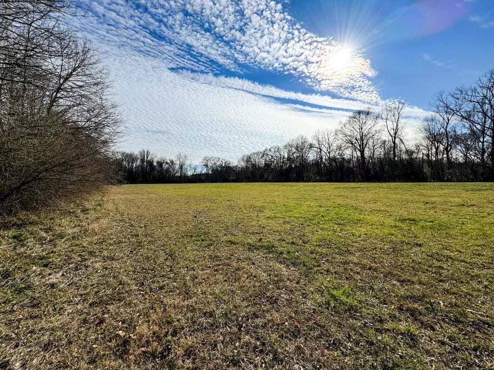 Tallapoosa River Farm With Barndominium