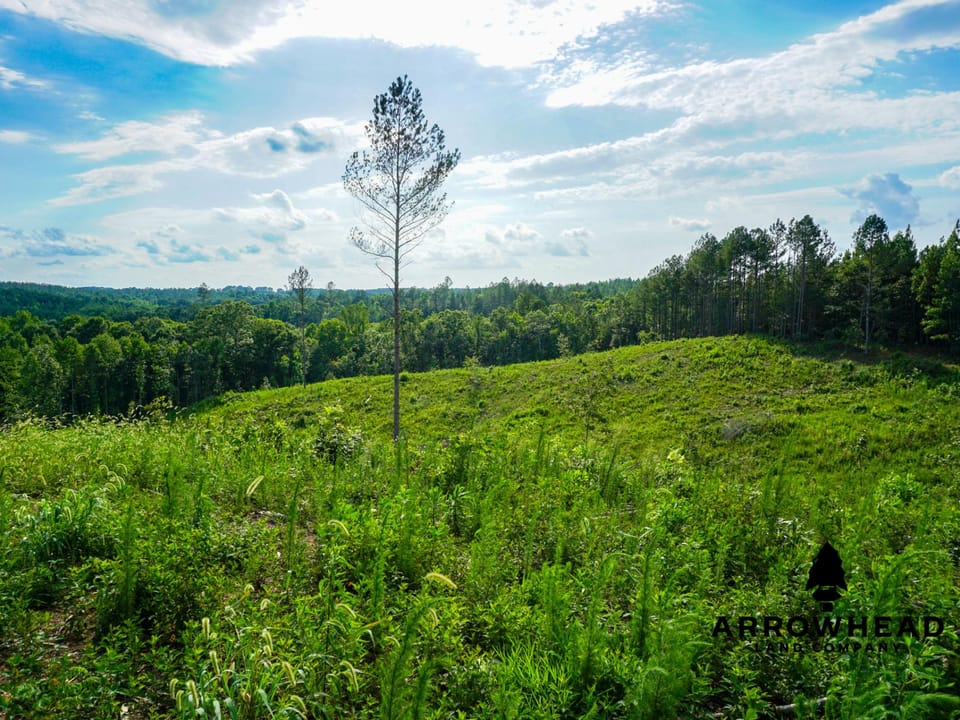 Rolling Hills with Easement Access