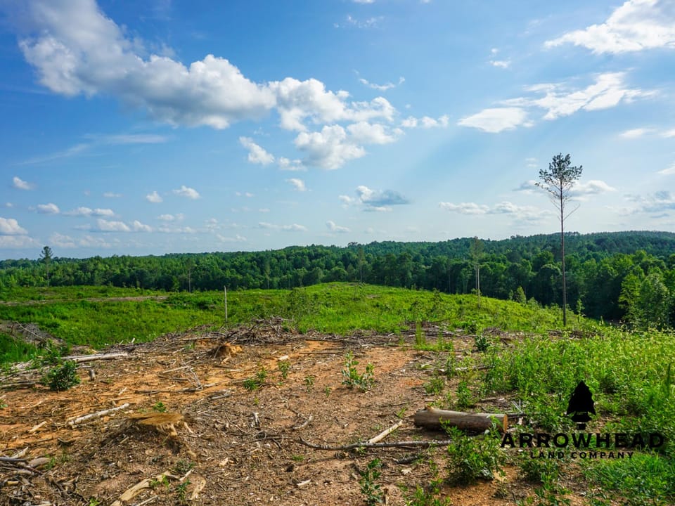 Rolling Hills with Easement Access