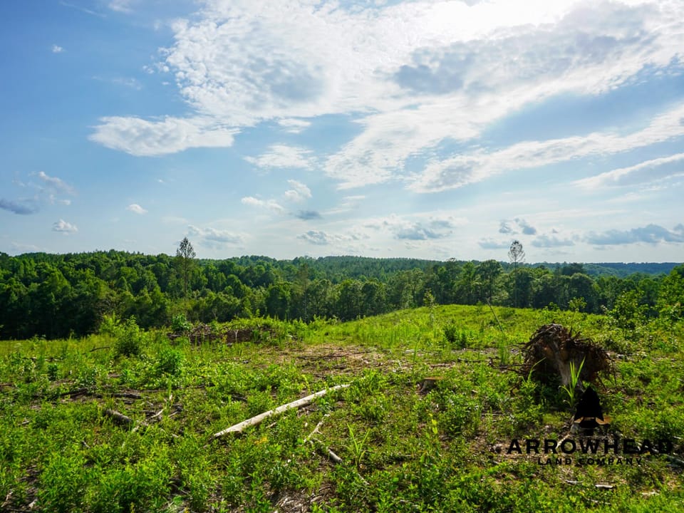 Rolling Hills with Easement Access