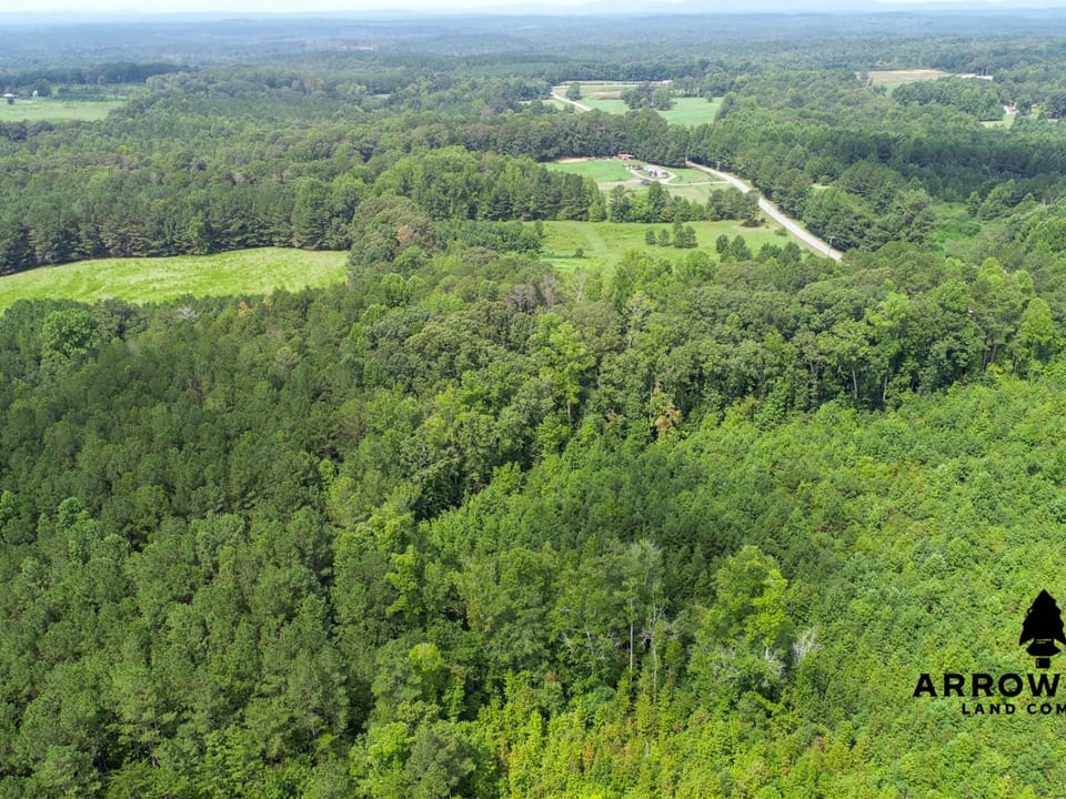 Newly Surveyed Building Lot
