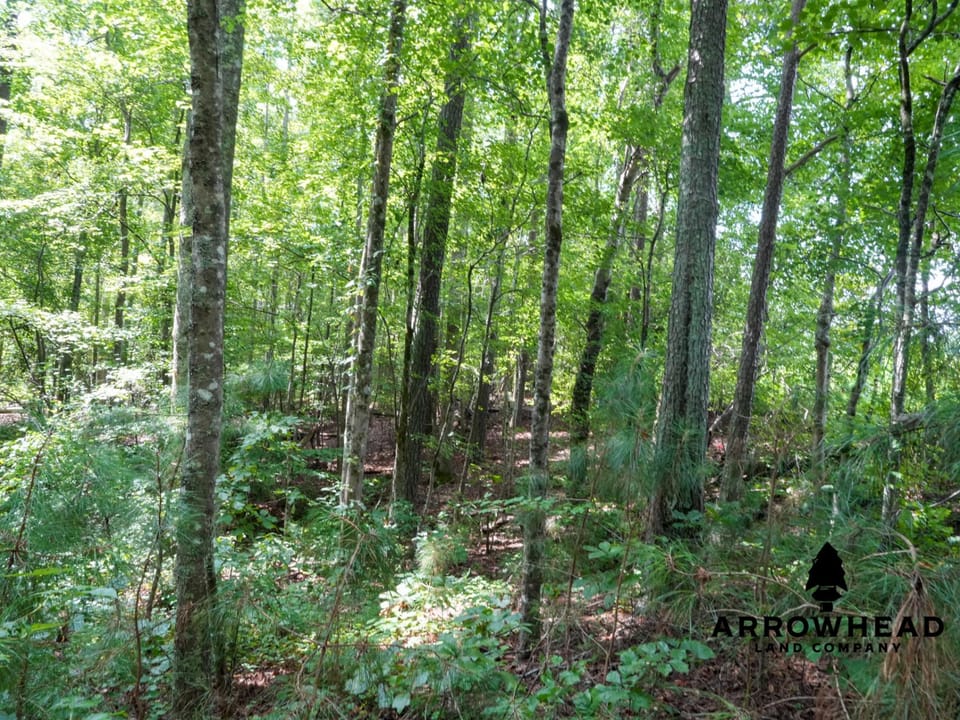 Newly Surveyed Building Lot