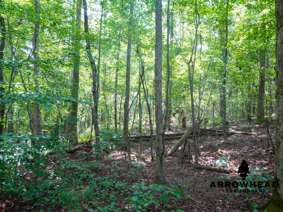 Newly Surveyed Building Lot