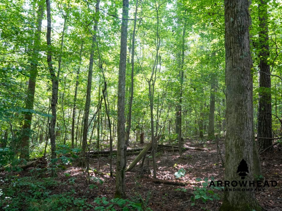 Newly Surveyed Building Lot