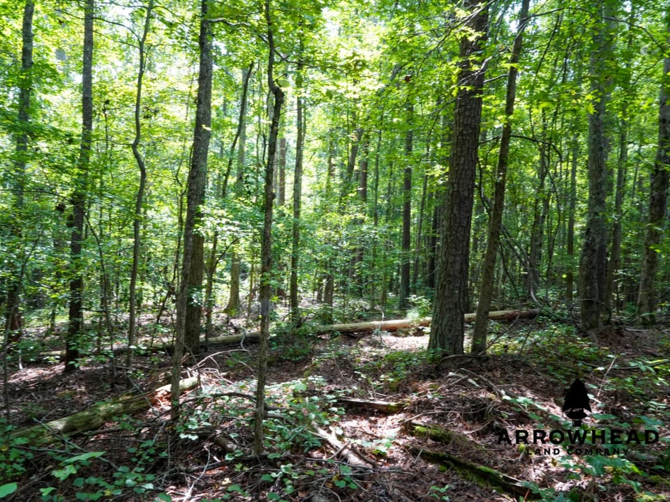 Newly Surveyed Building Lot