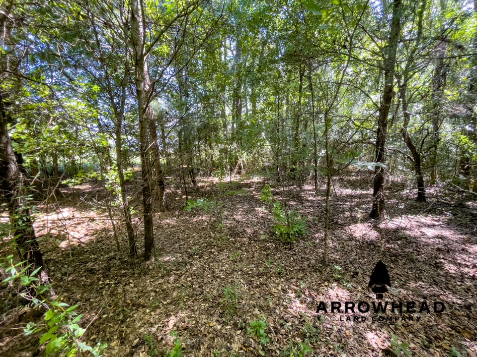 Wrens Corner Lot