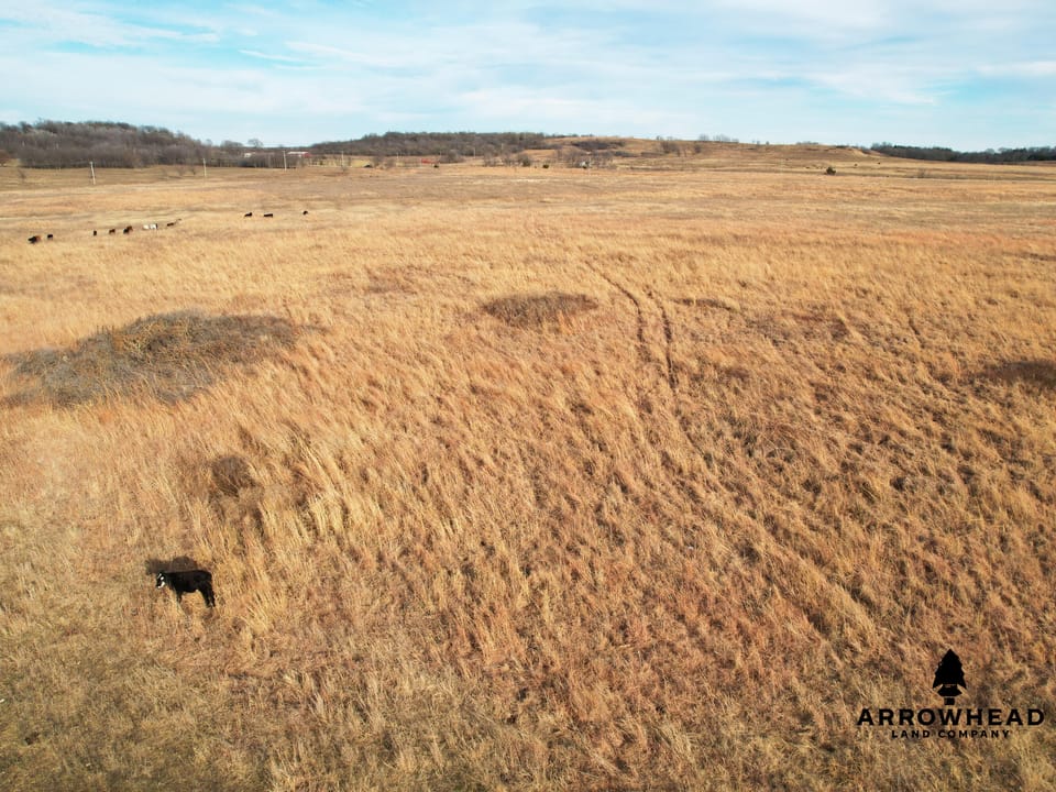 Perfect Cattle Farm