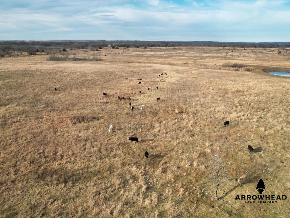 Perfect Cattle Farm