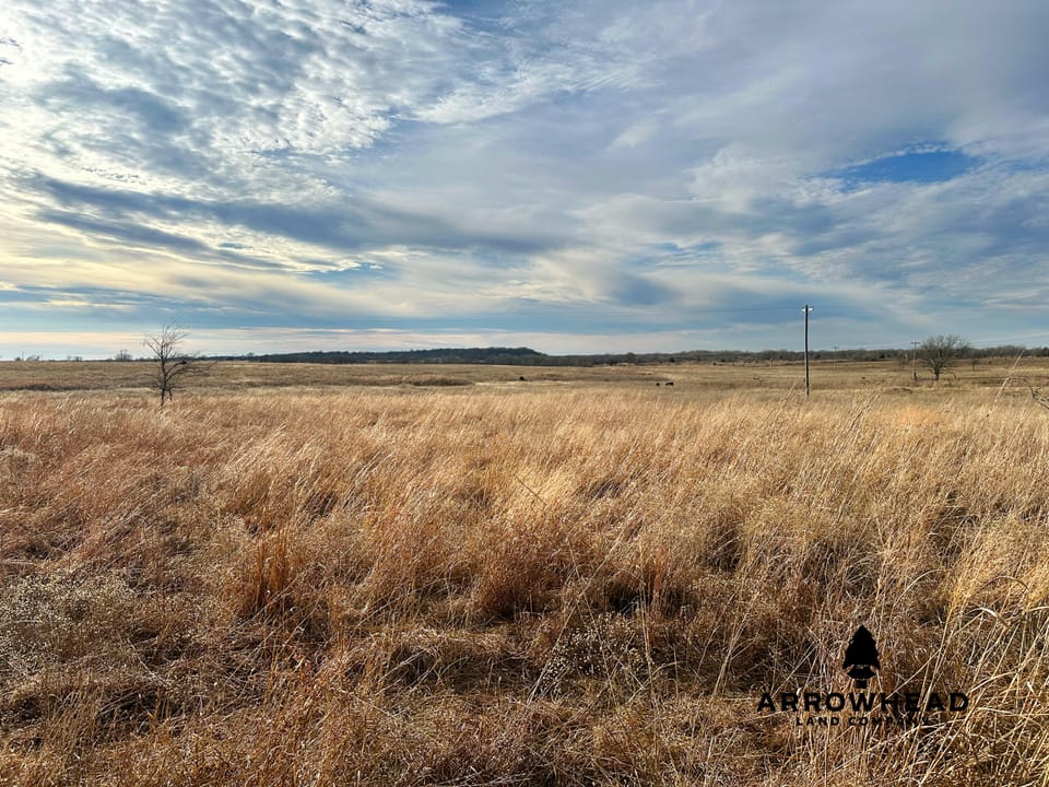 Perfect Cattle Farm
