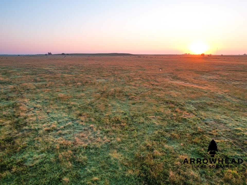 Circle U Ranch