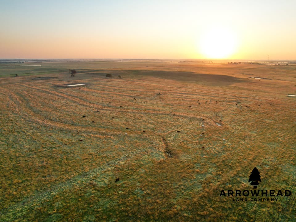 Circle U Ranch