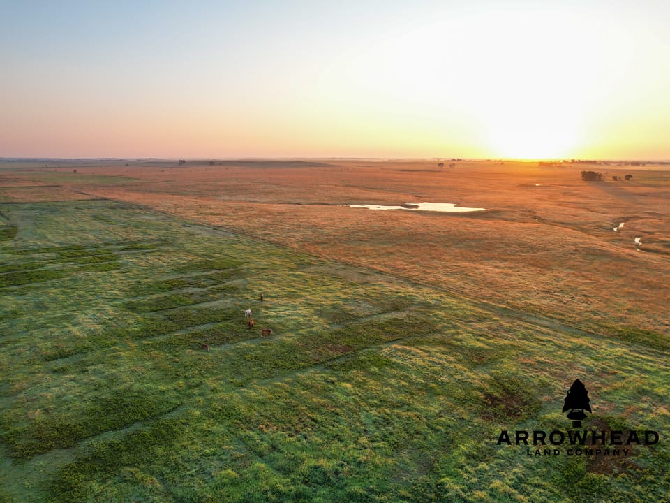 Circle U Ranch