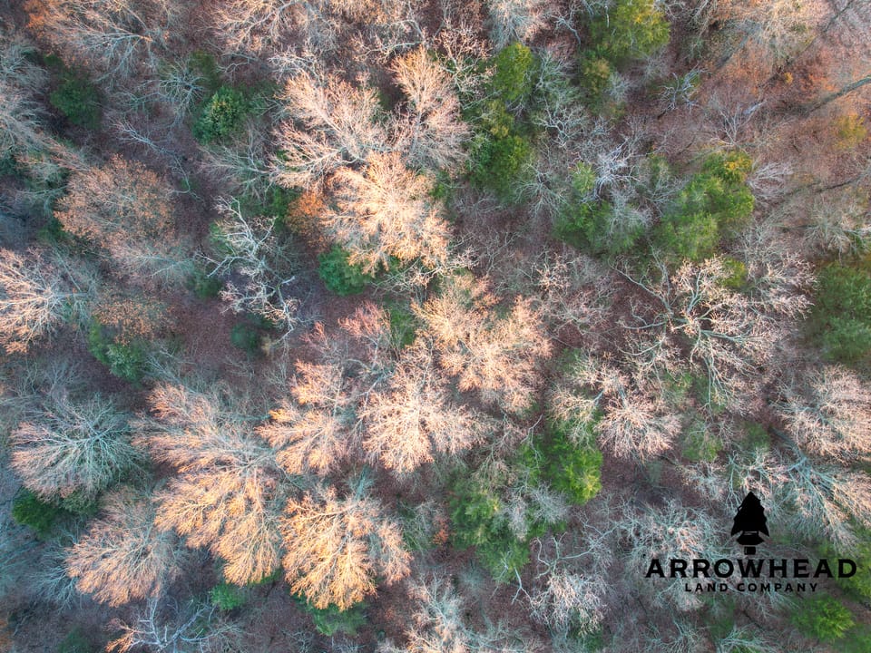 Turn-key Ranch Bordering Oologah Wildlife Reserve