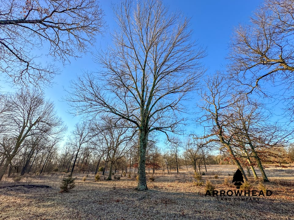 Turn-key Ranch Bordering Oologah Wildlife Reserve