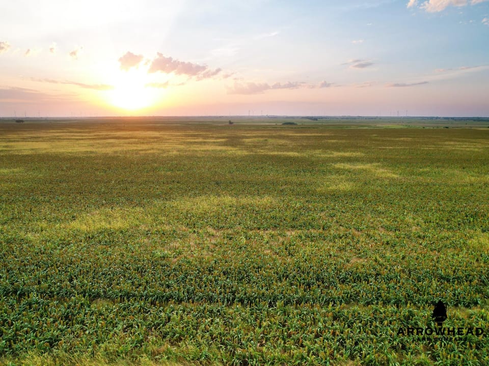 Income Producing Farm