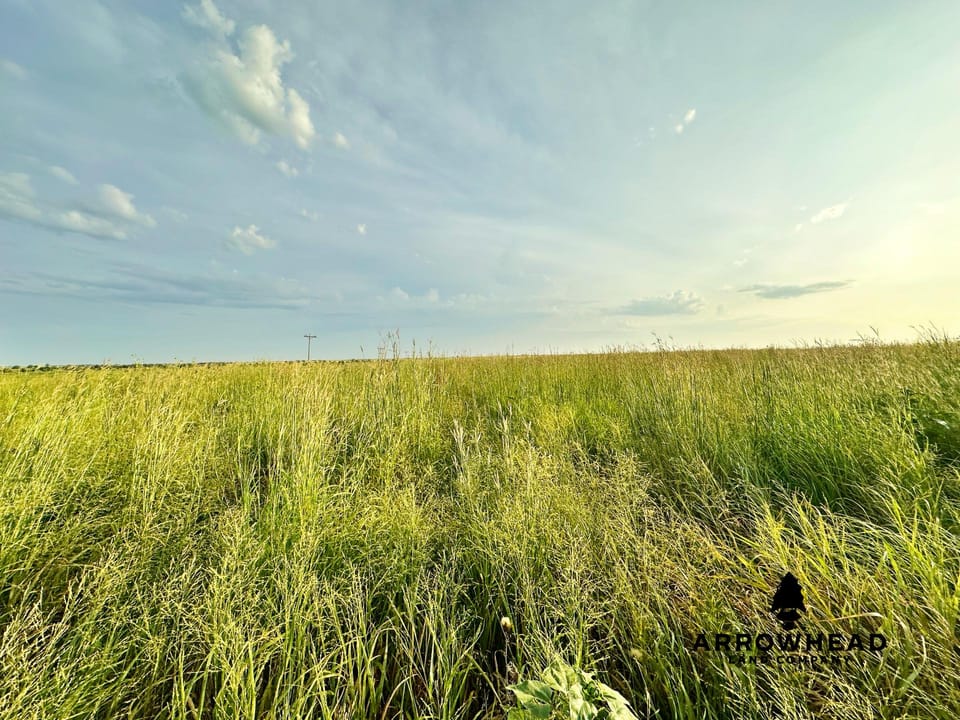 Income Producing Farm