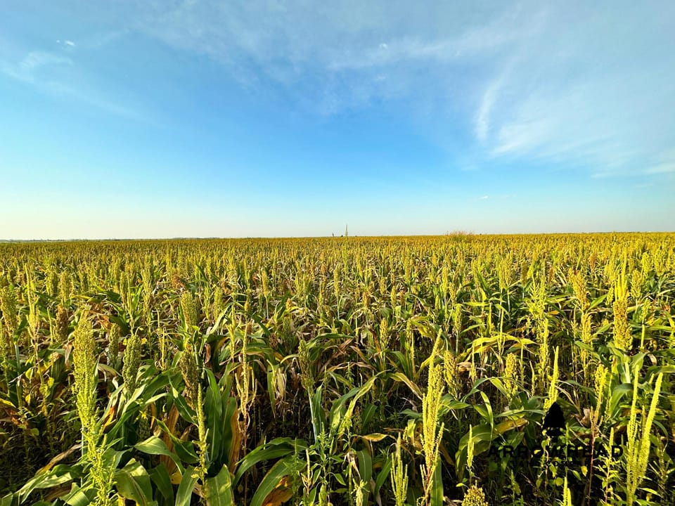 Income Producing Farm