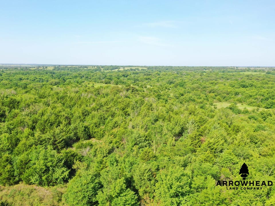 Hunting & Home Potential