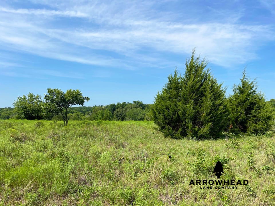 Hunting & Home Potential