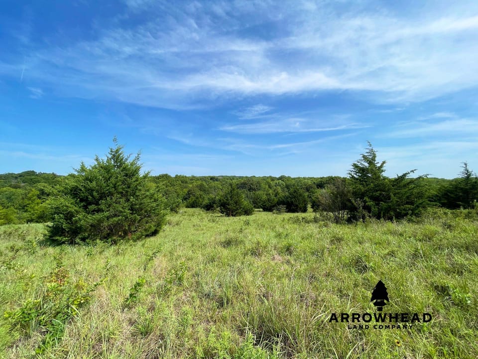 Hunting & Home Potential