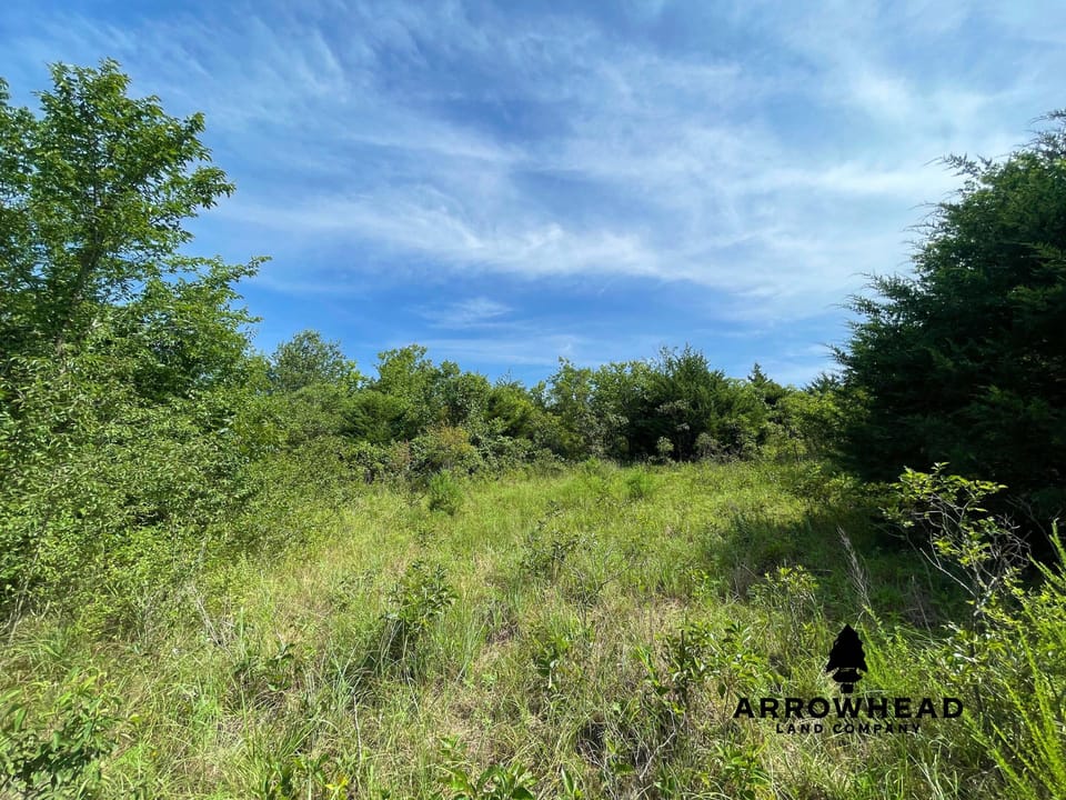 Hunting & Home Potential