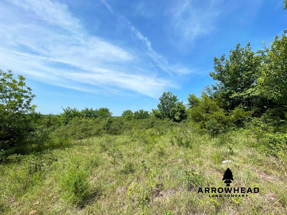 Hunting & Home Potential