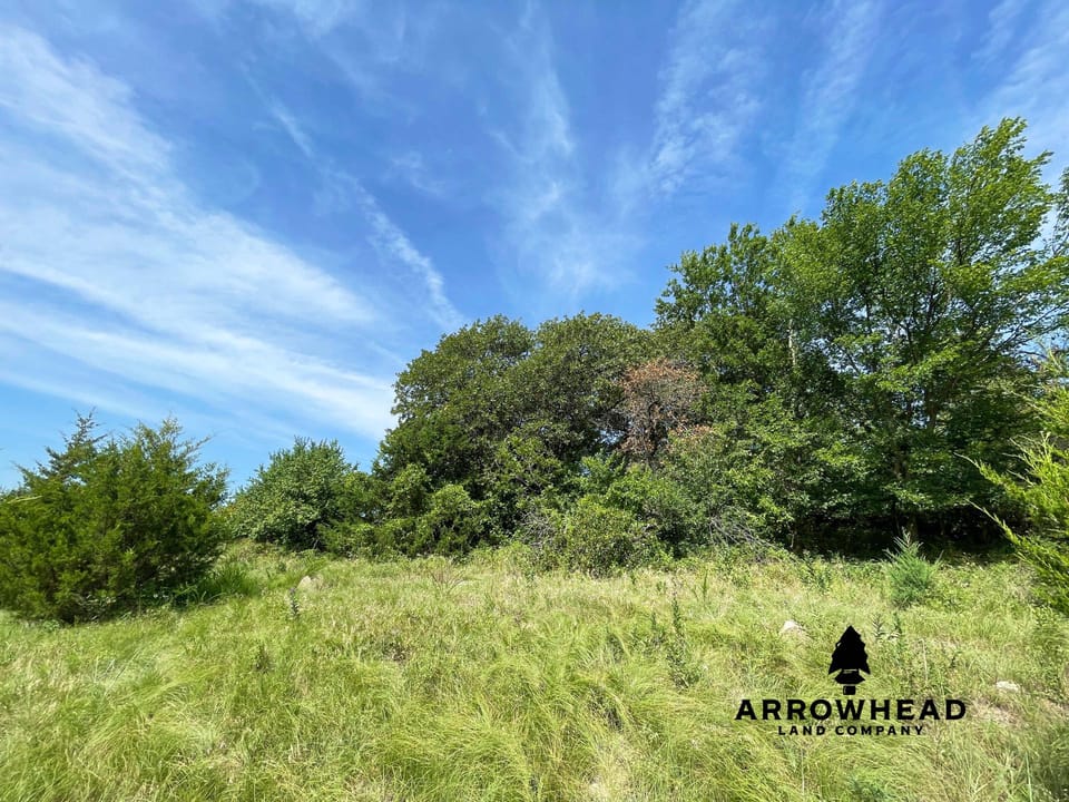 Hunting & Home Potential