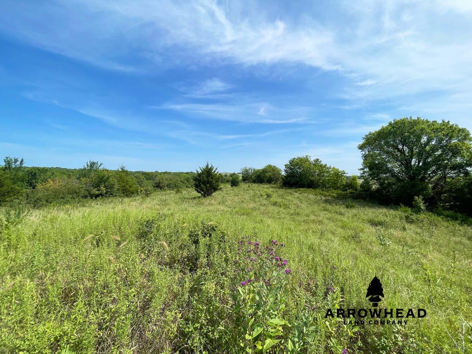 Hunting & Home Potential