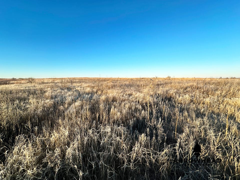 Beautiful Western Oklahoma Farm