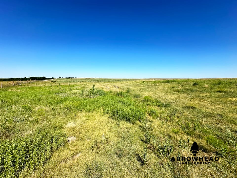 Wonderful Pasture Land