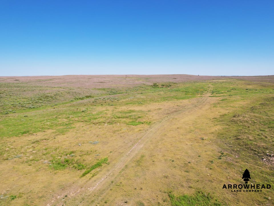 Wonderful Pasture Land