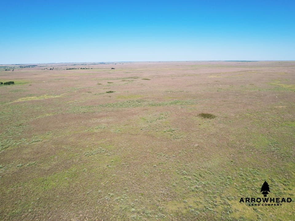Wonderful Pasture Land