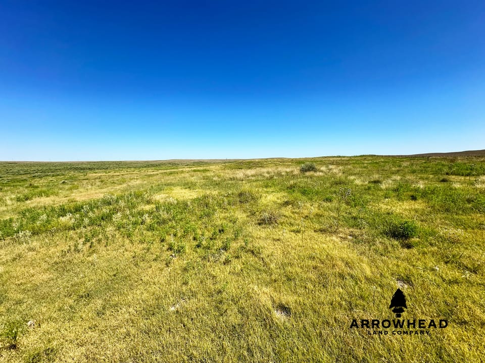 Wonderful Pasture Land
