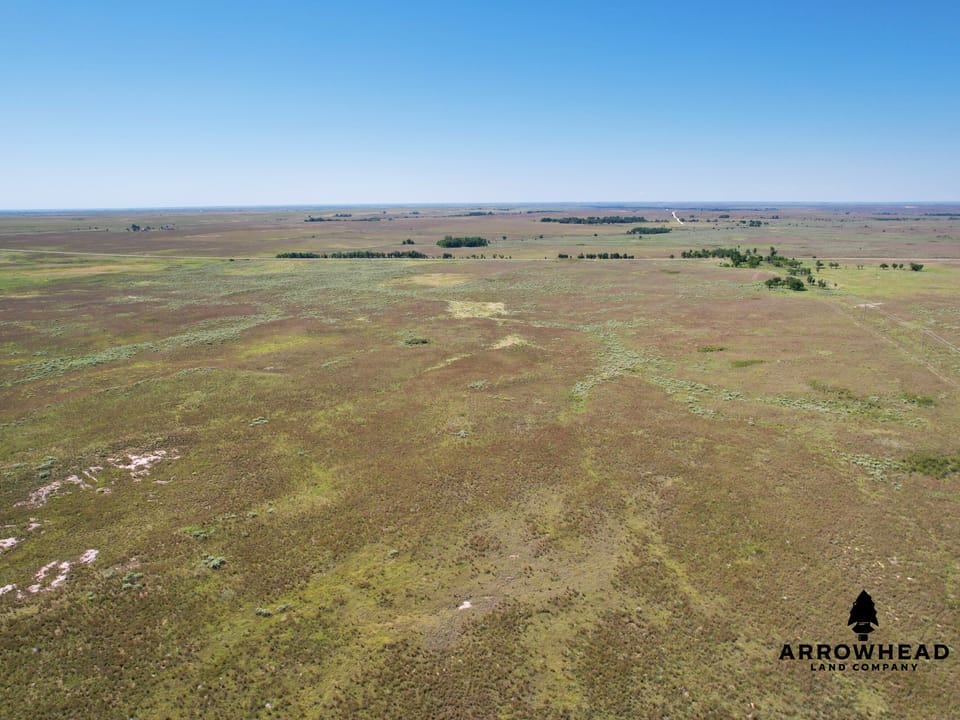 Wonderful Pasture Land