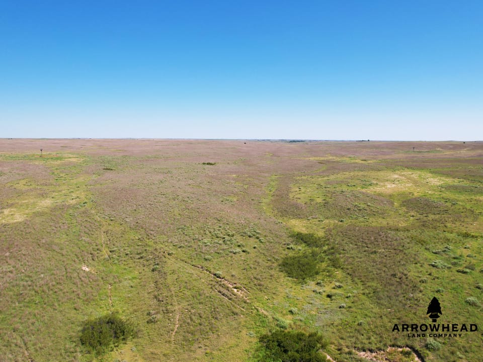 Wonderful Pasture Land