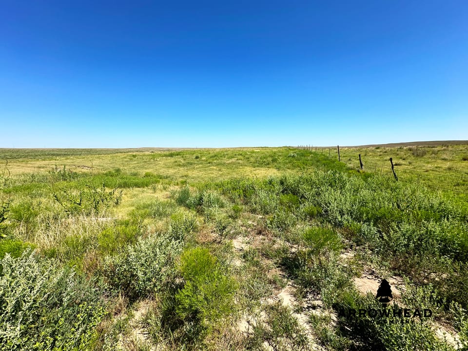 Wonderful Pasture Land