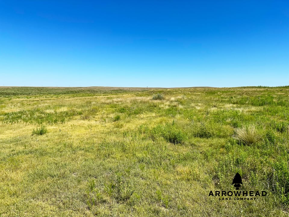 Wonderful Pasture Land