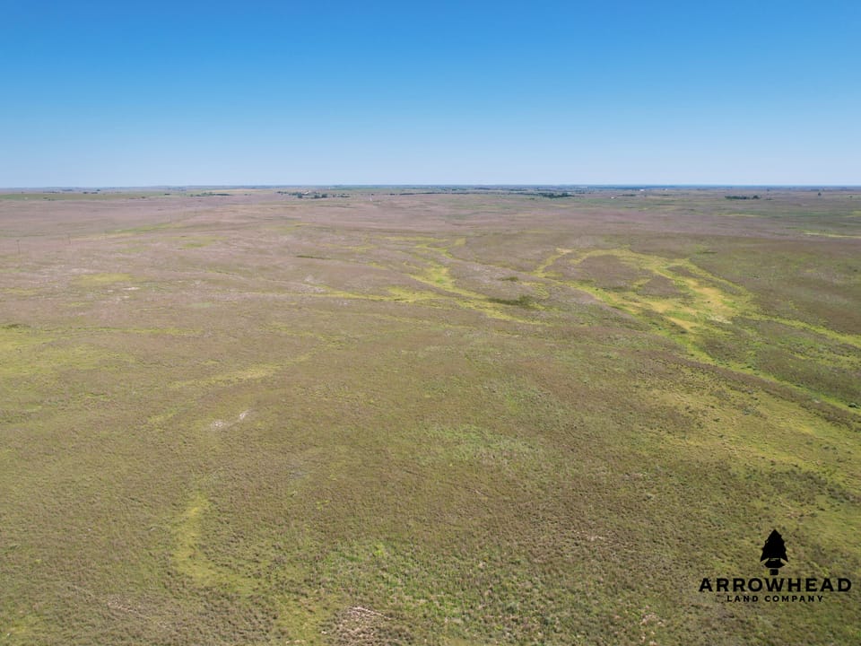 Wonderful Pasture Land