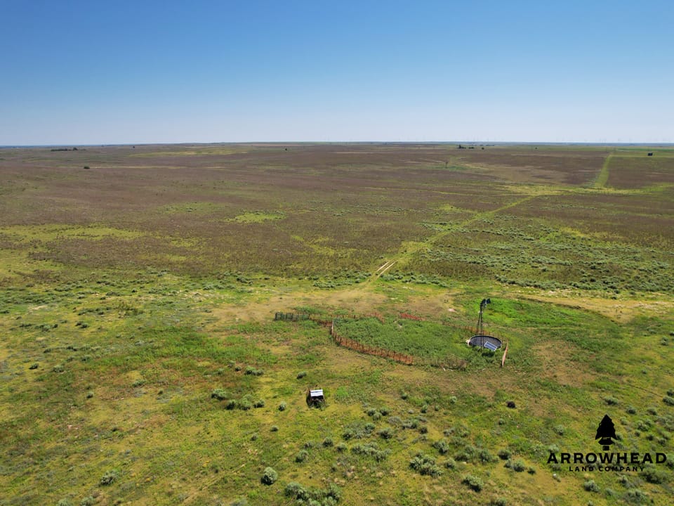 Wonderful Pasture Land