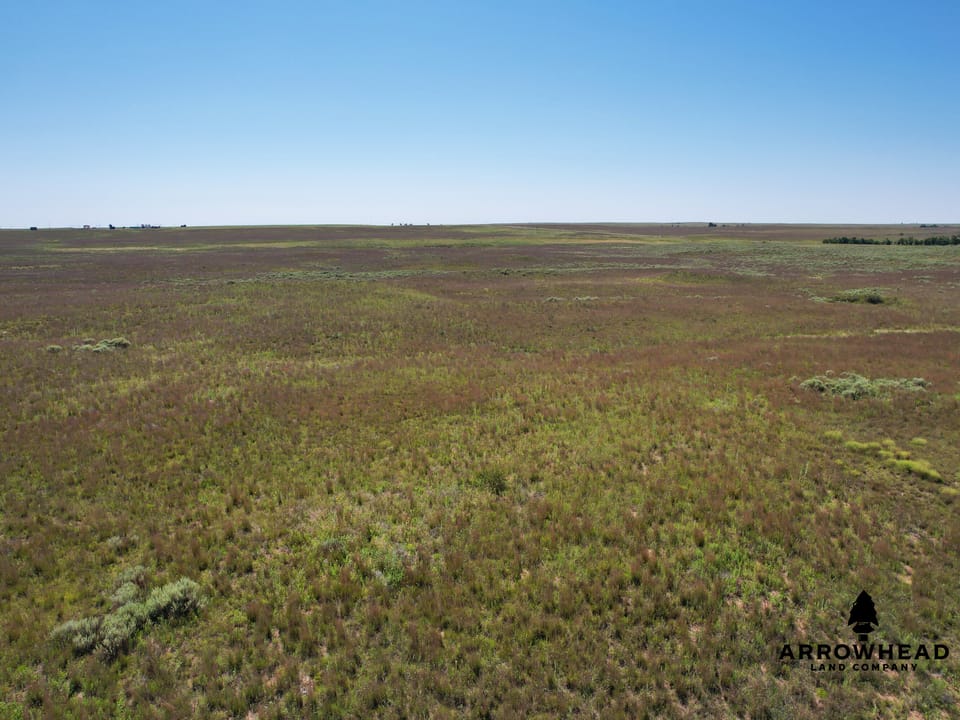 Wonderful Pasture Land