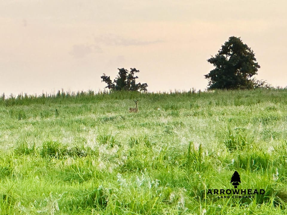 Premier Southwest Oklahoma Hunting Farm
