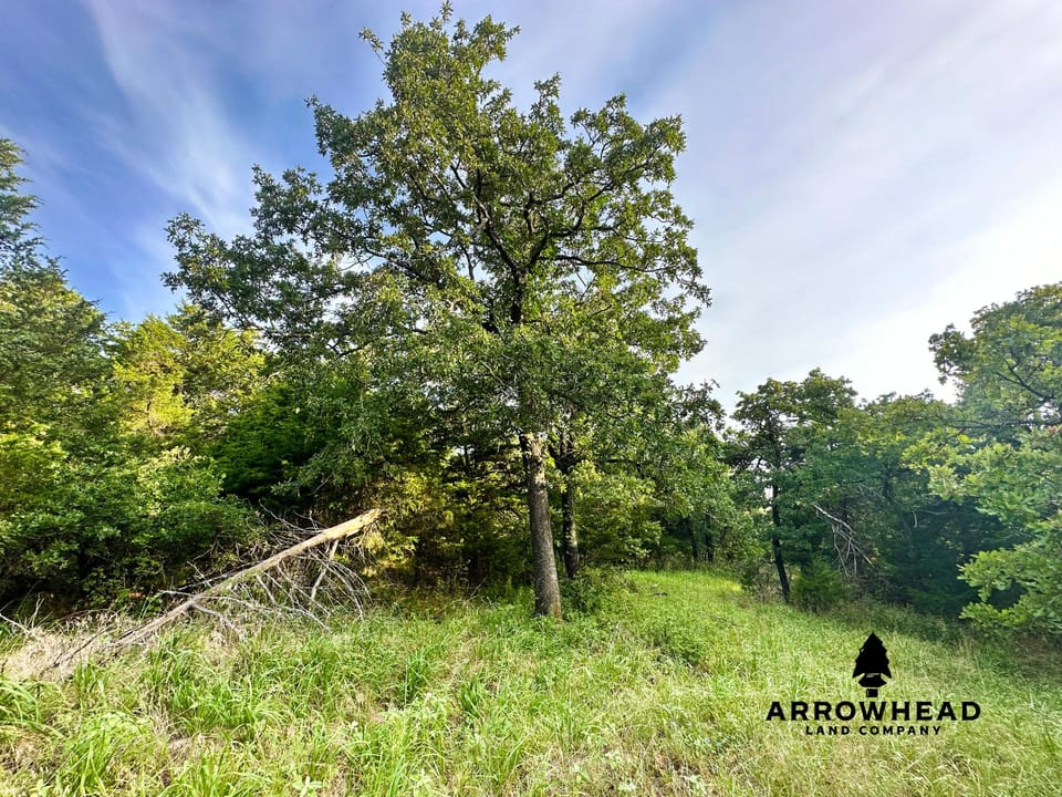 Premier Southwest Oklahoma Hunting Farm