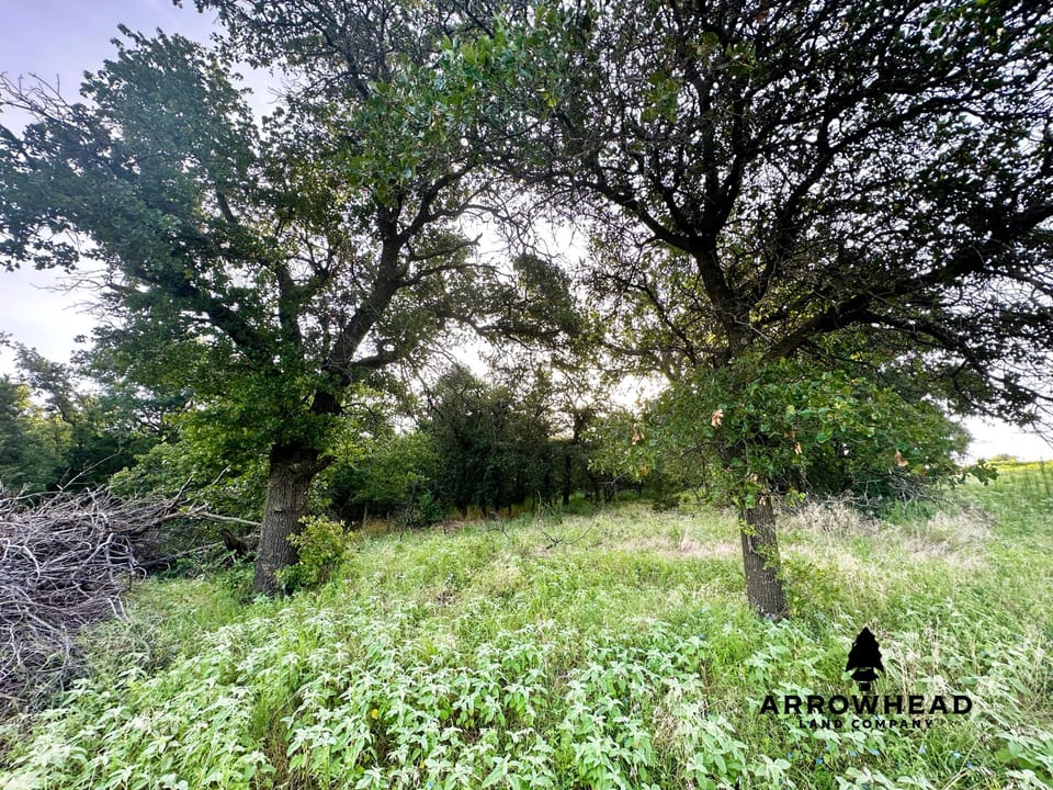 Premier Southwest Oklahoma Hunting Farm