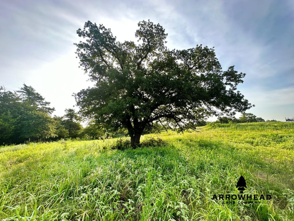 Premier Southwest Oklahoma Hunting Farm