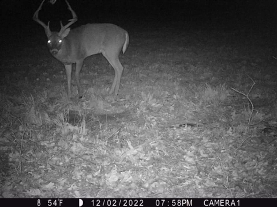 Hardwood Ridge Hunting Farm