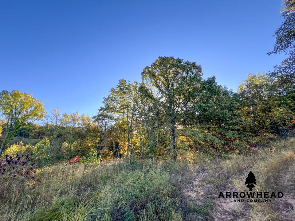 Hardwood Ridge Hunting Farm