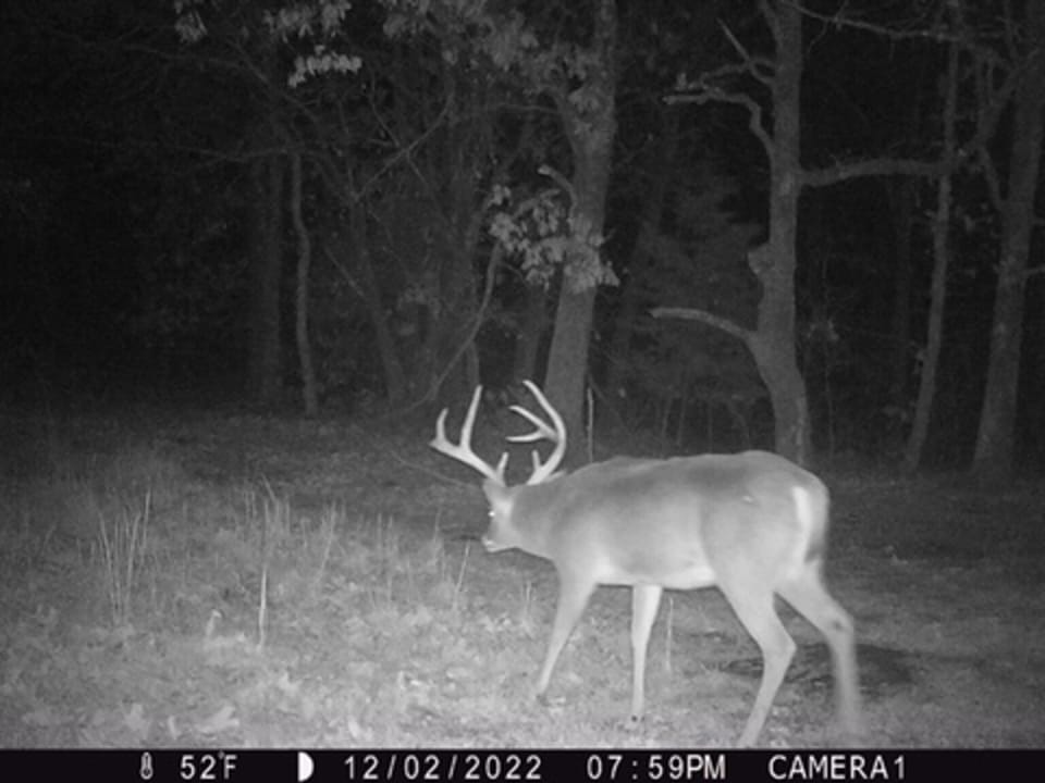 Hardwood Ridge Hunting Farm